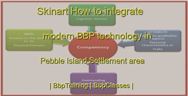 Skinart How to integrate modern BBP technology in Pebble Island Settlement area | BbpTraining | BbpClasses | SkinartTraining-Falkland Islands